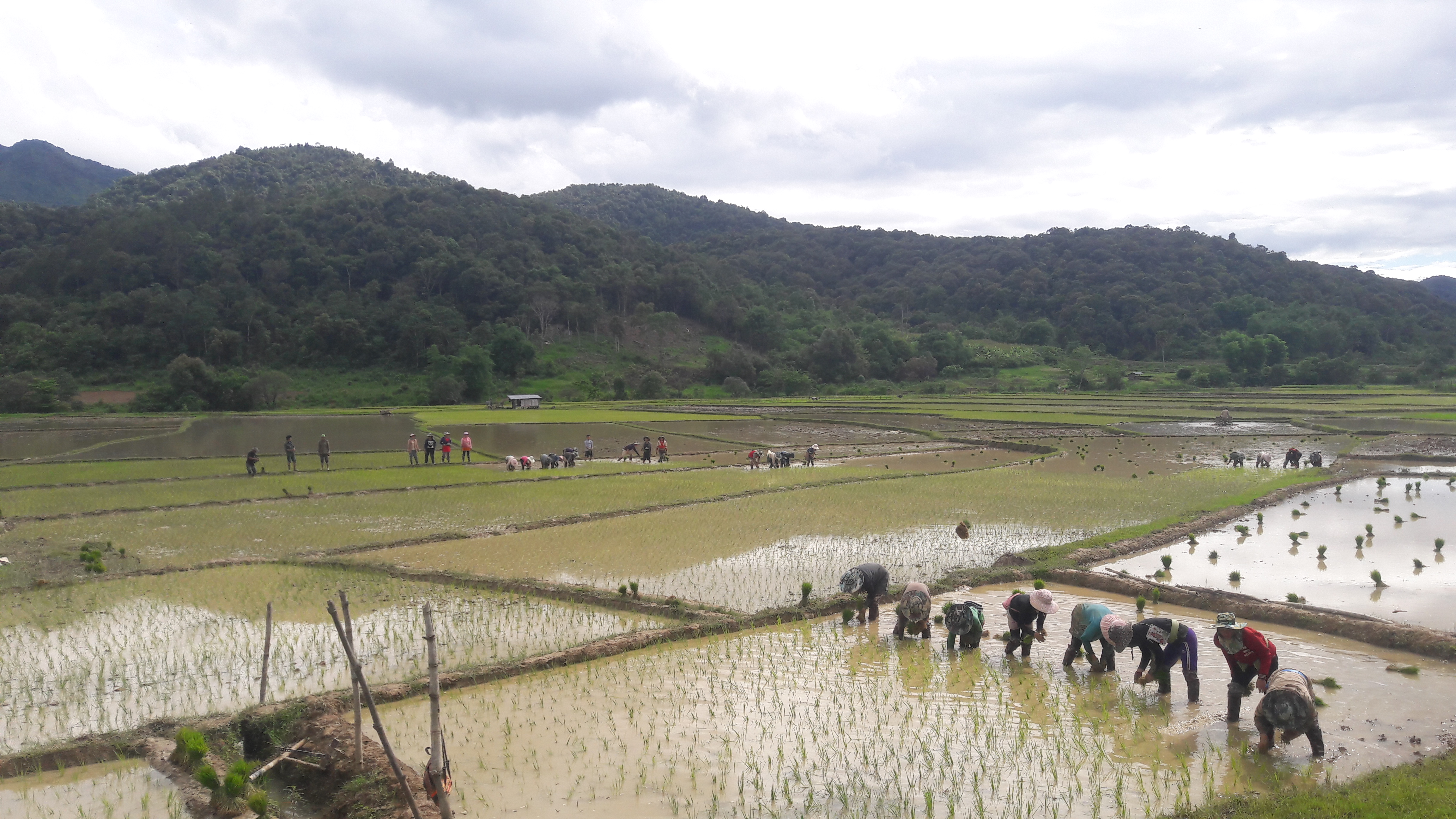 Xieng khoung tourism