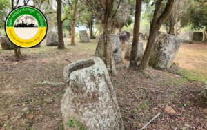 plain of jars site 3 - Tours by group travel sole co.ltdTours by group ...