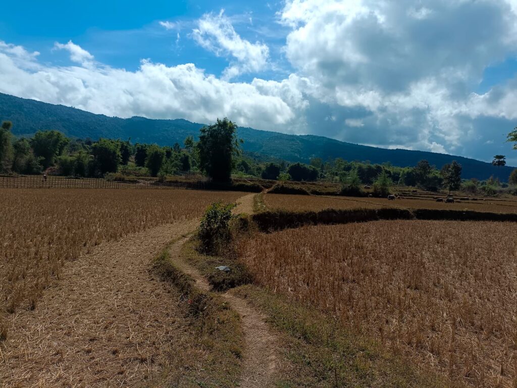 plain of jars tour with local guide