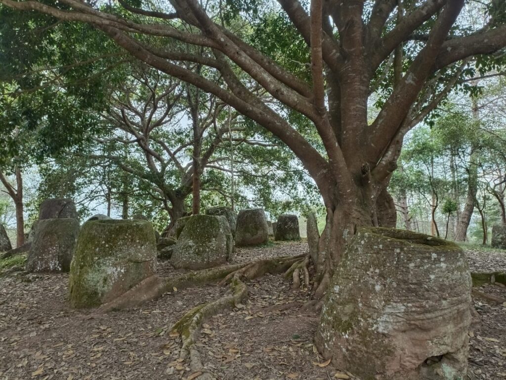 plain of jars tour with local guide